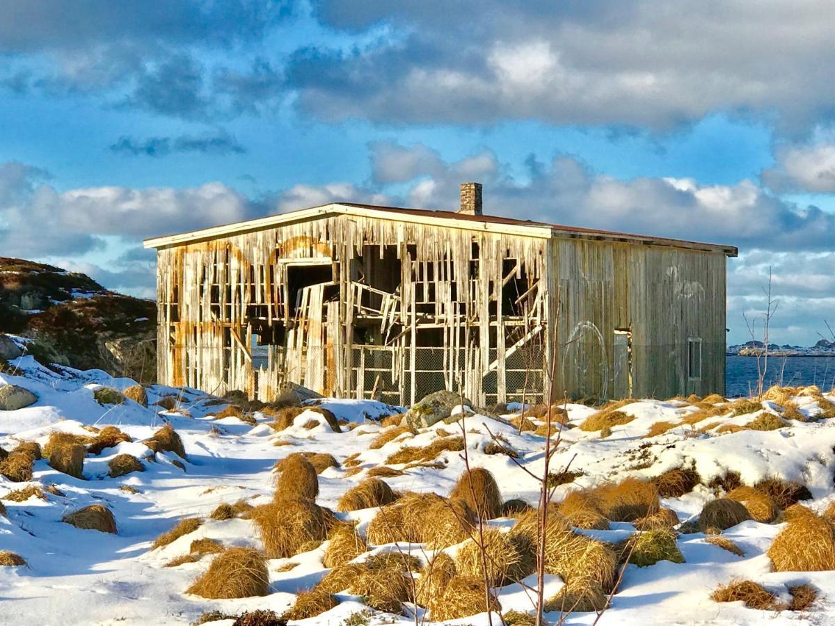 Lofoten Troll View Bostad Exterior foto